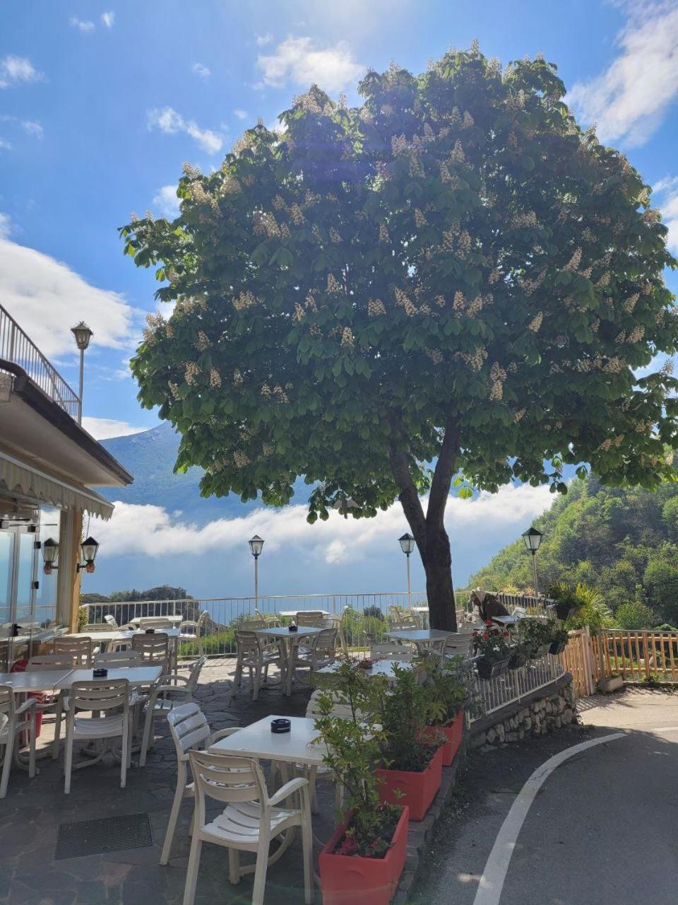 Hotel Panorama Riva del Garda Kültér fotó